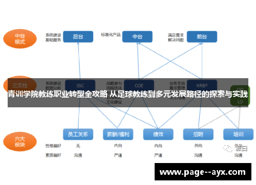 青训学院教练职业转型全攻略 从足球教练到多元发展路径的探索与实践