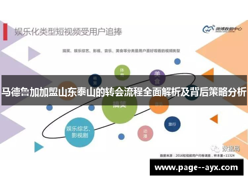 马德鲁加加盟山东泰山的转会流程全面解析及背后策略分析