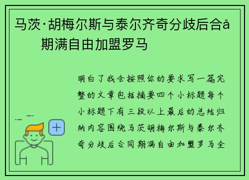 马茨·胡梅尔斯与泰尔齐奇分歧后合同期满自由加盟罗马